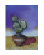 Cactus gessetto cm 35x50